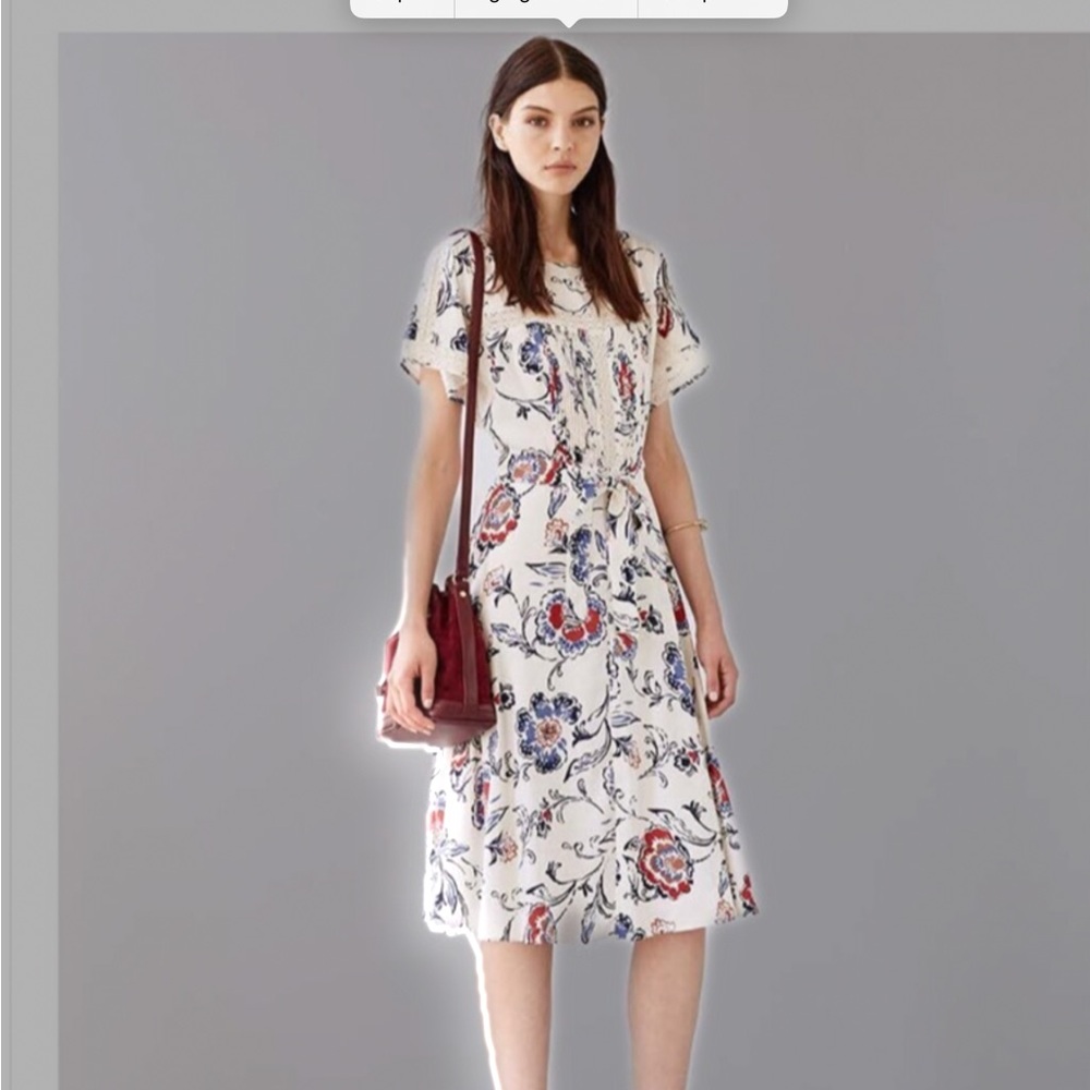 Ann Taylor Blue and White Floral Dress